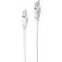 Cable USB 2.0 ShiverPeaks BS-77025 A a B 5,0 m