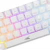 Baracuda DOLPHIN-W azul blanco