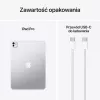 Apple iPad 11