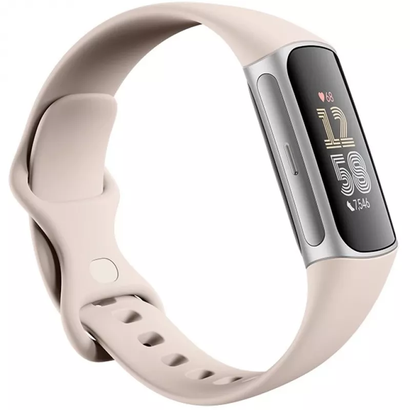 Fitbit GA05185-EU Producto Plata