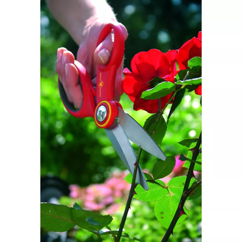 Tijeras multiusos WOLF-Garten RA-X, 18 cm, rojas, desmontables (73AFA010650)