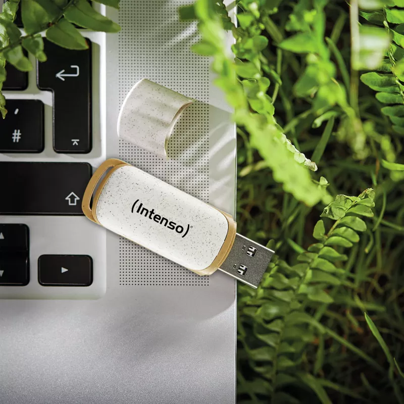Memoria USB Intenso 32 GB USB Type-A 3.2 Gen 1