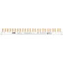 Peine de fases ABB PSc 3/24/10 N 3F+N 24Pins 10 mm² (2CDL230331R1012)