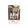 VetExpert Raw Paleo Adult Cat Sterilised comida húmeda para gatos con ternera, 100 g