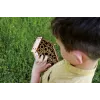 Set I'M A Genius - laboratorio de abejas
