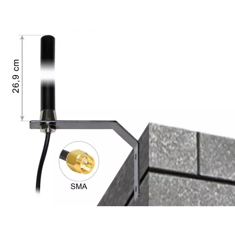 Antena inalámbrica DeLOCK 89529 3 dB 50 Ω