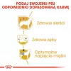 Royal Canin Poodle Adult comida para perros, 1,5 kg