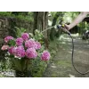 Manguera de agua Karcher Premium 5/8- 25M