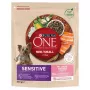 Purina One Mini/Small Sensitive comida seca para perros con salmón y arroz, 800 g