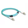 Cable de fibra óptica DeLOCK LC Duplex a LC Duplex OM3 3 m