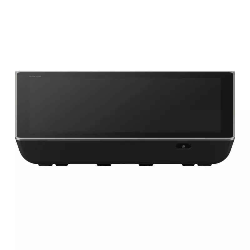 Terminal TPV SUNMI D3 MINI 10,1