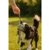 Pelota de juguete para perros ZOLUX TPR Outdoor, azul