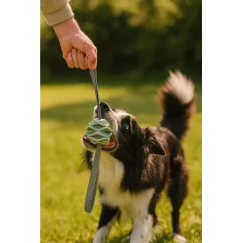 Pelota de juguete para perros ZOLUX TPR Outdoor, azul