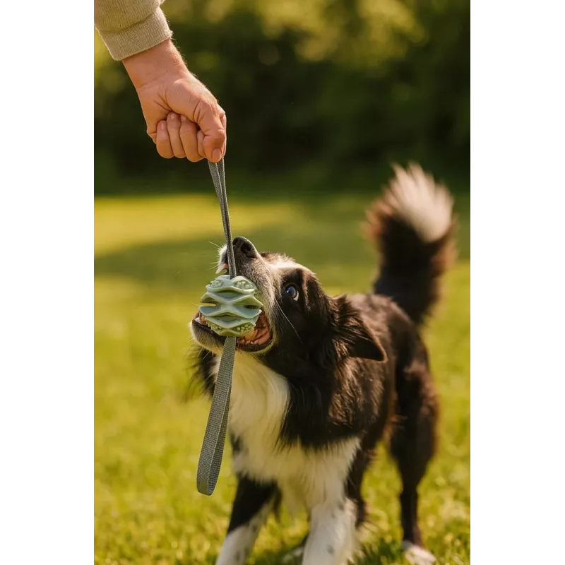 Pelota de juguete para perros ZOLUX TPR Outdoor, azul
