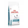 Alimento seco para perros Royal Canin Anallergenic Small 1,5 kg — fórmula hipoalergénica para perros adultos de razas pequeñas
