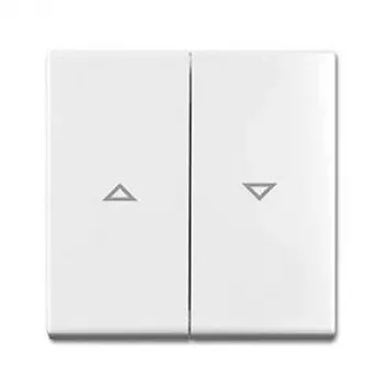 Tapa de interruptor y tapa de enchufe busch jaeger 1713-0-0202 — placa de pared decorativa para interruptores y enchufes