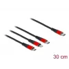 Cable de carga USB DeLOCK 86710 3 en 1 USB Type-C a Lightning Micro USB 30 cm negro rojo