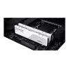 DIMM 32 GB DDR5-5600 (2x 16 GB) Dual-Kit, memoria blanca, F5-5600J4040C16GX2-RS5W, Ripjaws S5, INTEL XMP