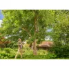 Cortasetos telescópico GARDENA StarCut Pro L mango en T, longitud ajustable 175–400 cm