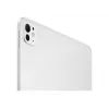 APPLE 33cm 13