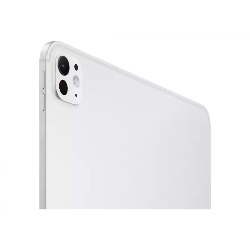 APPLE 33cm 13