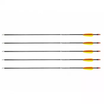 Set de flechas POE LANG D-055-B3 — flechas de fibra de vidrio, 28