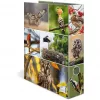 Archivador HERMA 19254 A4 multicolor con anillas D 285x315 mm