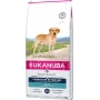 Eukanuba Labrador Retriever Adult comida seca para perros, 12 kg