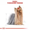ROYAL CANIN BHN Yorkshire Terrier Adult pienso para perros - 7,5 kg