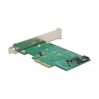 Tarjeta de interfaz DeLOCK 89381 interna M.2 SATA