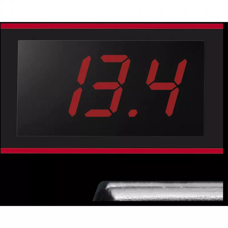 Cargador de batería Einhell CE-BC 15 M 12 V Negro Rojo
