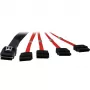 Inter-Tech - Cable SATA/SAS - Serial ATA 150/300/600 - 4-Lane - 36 PIN 4iMini MultiLane a SATA - 1,0 m - rojo (88885301)