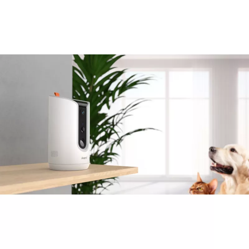 Arenti PETCAM1T Cámara de seguridad IP para mascotas y comedero WiFi interior Sobremesa