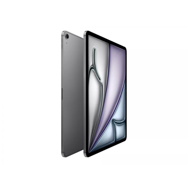 Apple iPad 13