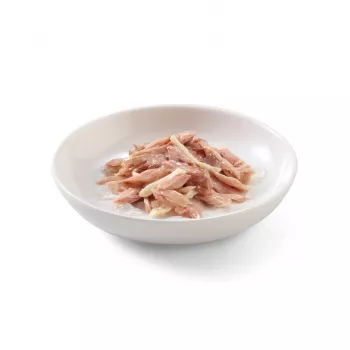 SCHESIR atún con pollo en gelatina - Comida húmeda para gatos - 85 g