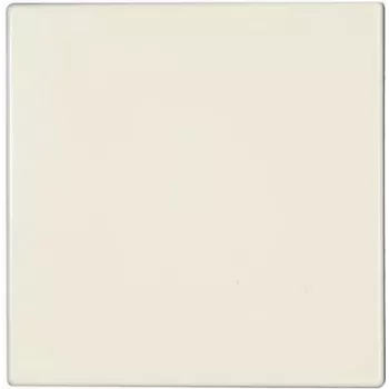 JUNG LS 990 - marfil - 501 U - 502 U - 503 U - 506 U - 507 U - 501-20 U - 506-20 U - 507-20 U - 502 TU - 506 TU - 507 TU - 531 U,... - IP44