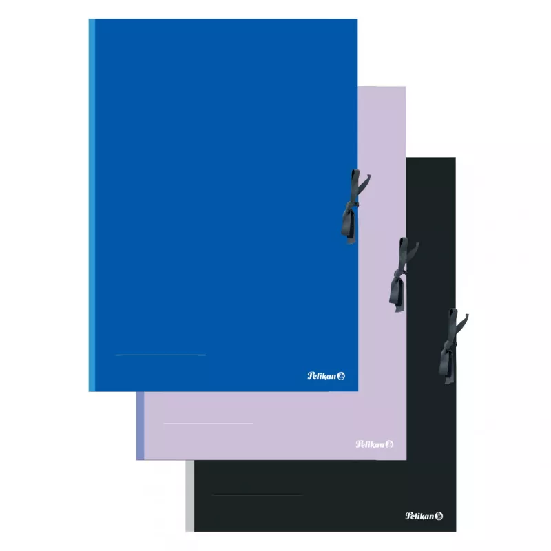 Carpeta de transporte Pelikan 276870 cartón negro azul rosa A2