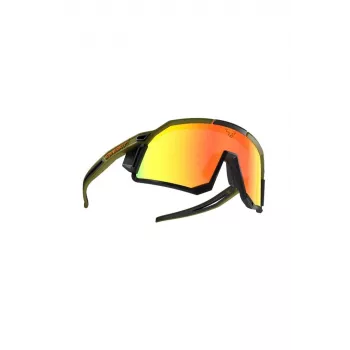Gafas DYNAFIT Sky Evo Winter Moos-Dämmerung