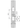 SCHROFF Panel frontal con abertura SUB-D - PANEL PARCIAL 3HE 4TE 2X9 DC (30118336)