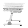 Ergo Office Escritorio infantil ergonómico de altura ajustable, gris, máx. 100 kg, ER-417 2cz