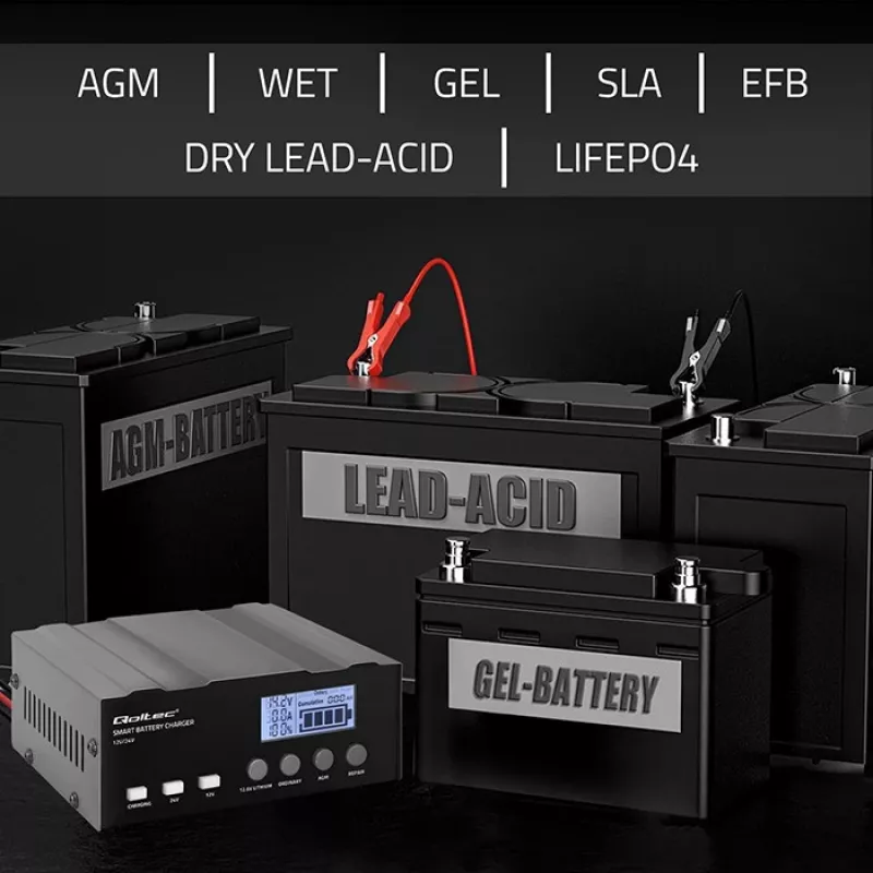 Cargador de baterías QOLTEC 52491 microprocesador 12V/12,6V/24V con LCD