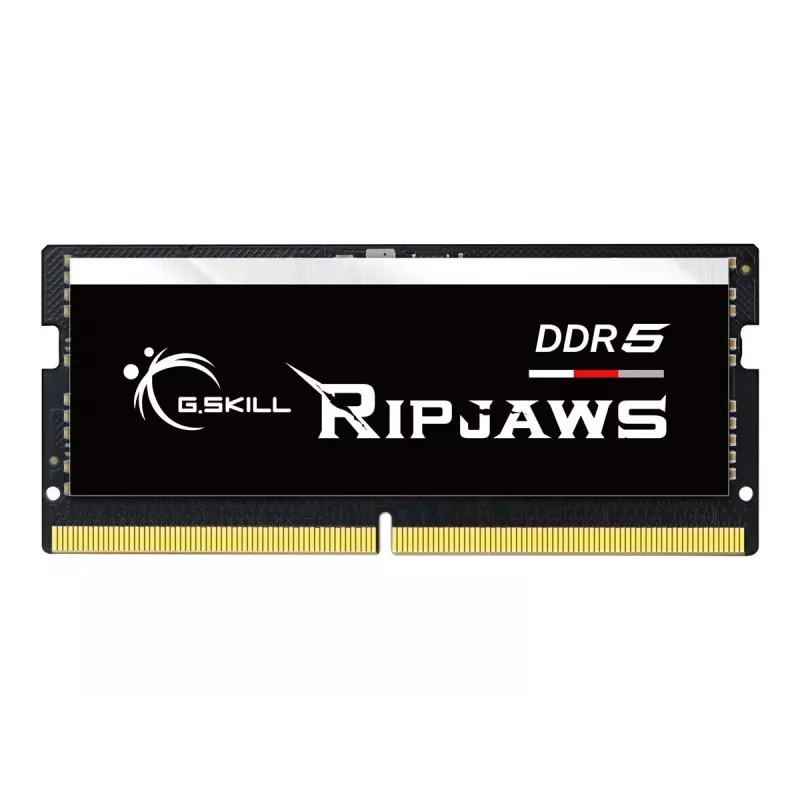 Módulo de memoria G.Skill Ripjaws F5-4800S4039A16GX1-RS 16 GB 1 x 16 GB DDR5 4800 MHz