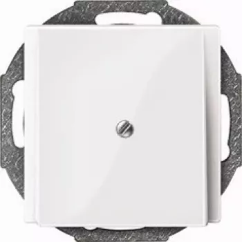 Merten 296325 placa mural/tapa de interruptor Blanco (296325)