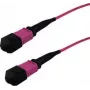 Cable de fibra óptica InfiniBand GRAFENTHAL GTOM4MPOUMPOU01000 10 m MPO OFC violeta