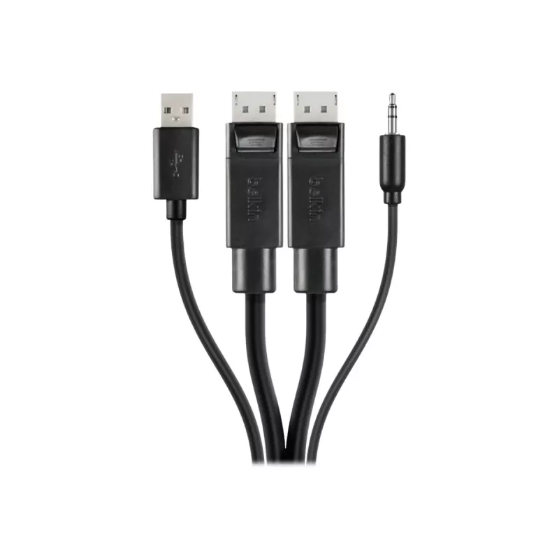 Cable combo KVM seguro Belkin - cable de teclado / vídeo / ratón / audio - USB, conector mini, DisplayPort (M) a conector jack mini estéreo, USB Type-
