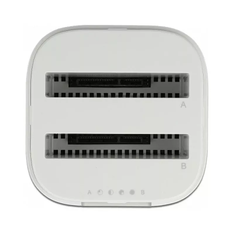 Estación de acoplamiento DeLOCK USB Type-C™ 3.2 para 2 x discos duros/SSD SATA de 2,5 inch