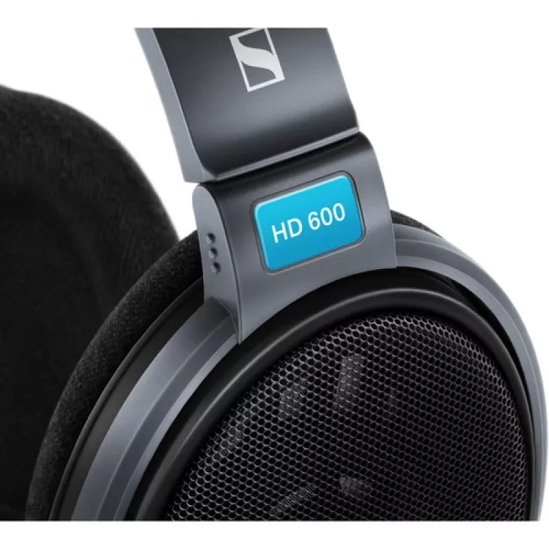 Auriculares Sennheiser HD 600 diadema jack 3,5 mm negros, grises