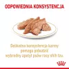 ROYAL CANIN Shih Tzu Adult Alimento húmedo para perros Paté 12x85 g