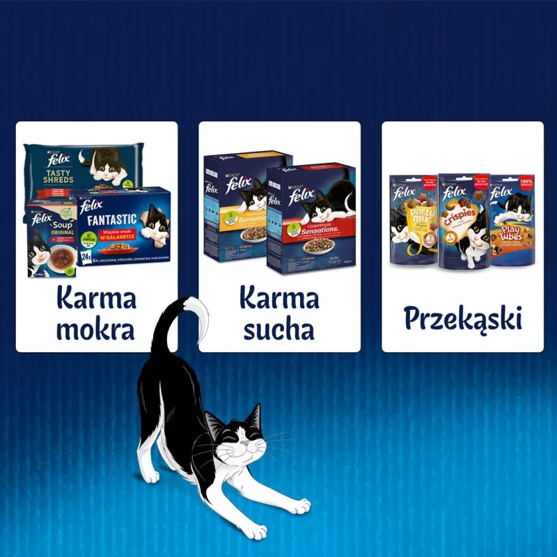 Purina Felix Fantastic Junior comida húmeda para gatos, 85 g
