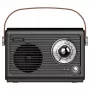 Radio portátil Savio RS-01 analógica negra